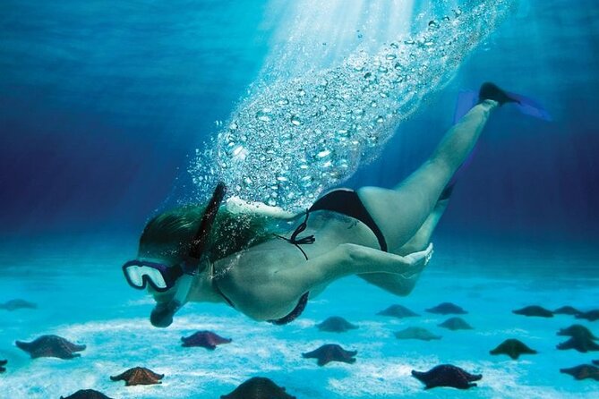 Full Day Tour to Isla Saona and Altos De Chavon - Good To Know