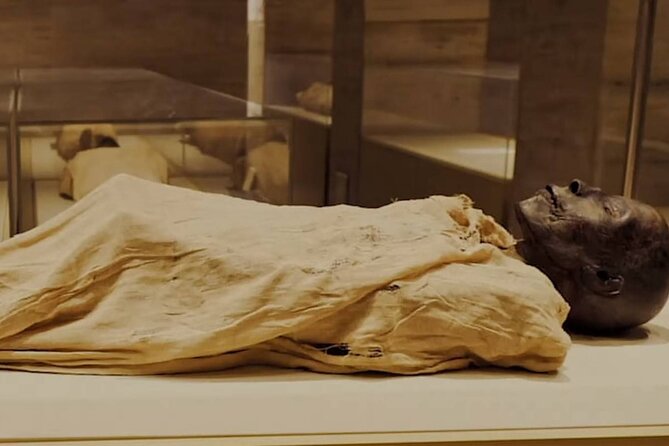 Full Day Tour to National Museum of Civilization and Old Cairo With Lunch