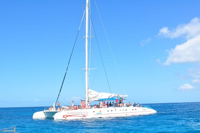Full Day Tour to Saona Island by Catamaran and Speedboat - Tour Overview