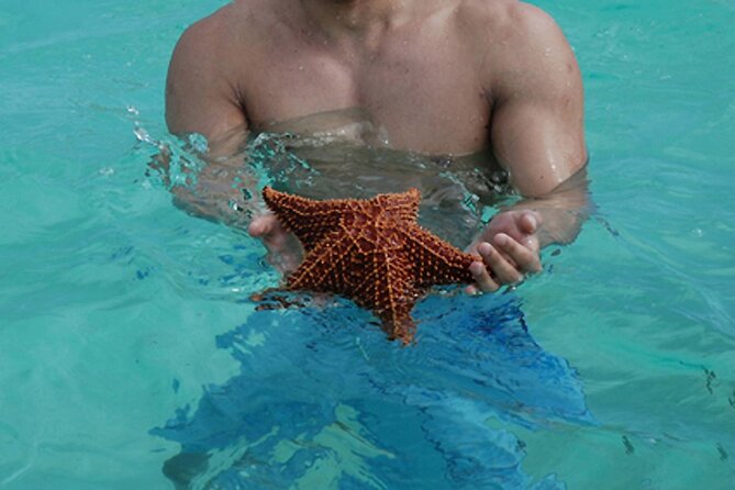 Full-Day Tour to Saona Island From Bayahibe With Lunch - Good To Know