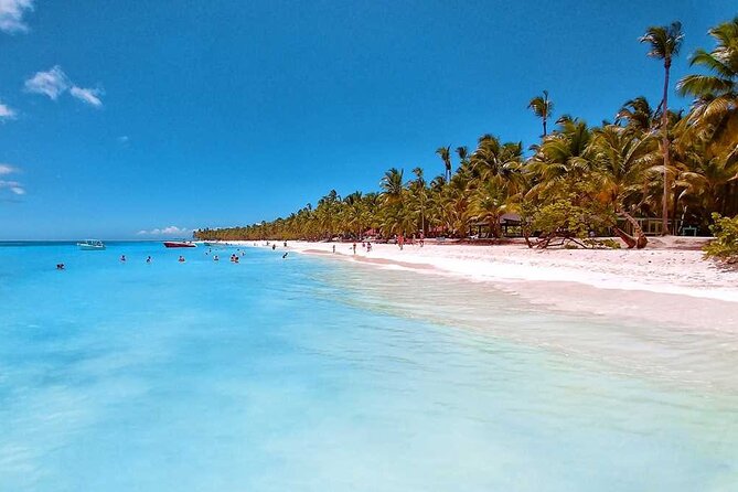 Full Day Tour to Saona Island From Samana