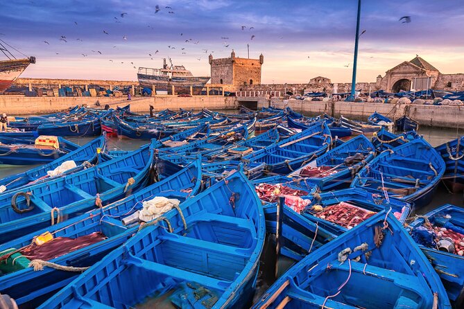 Full Day Trip to Essaouira From Marrakech - Good To Know