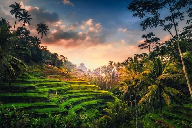Full-Day Ubud Private Tour - Good To Know
