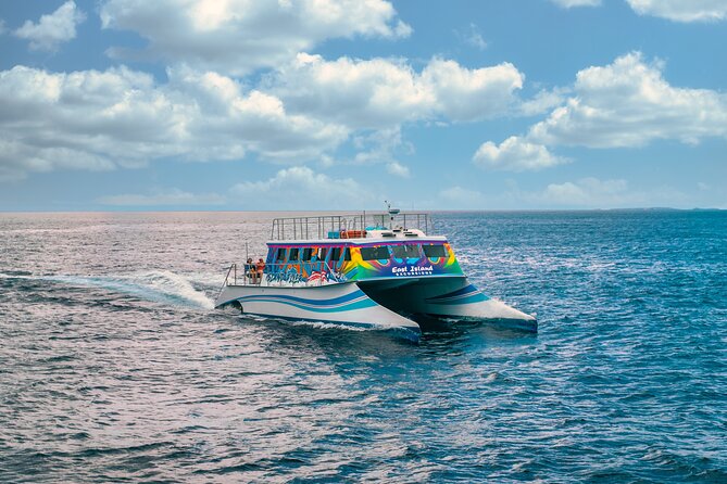 Full Day Vieques Beach Tour by Catamaran