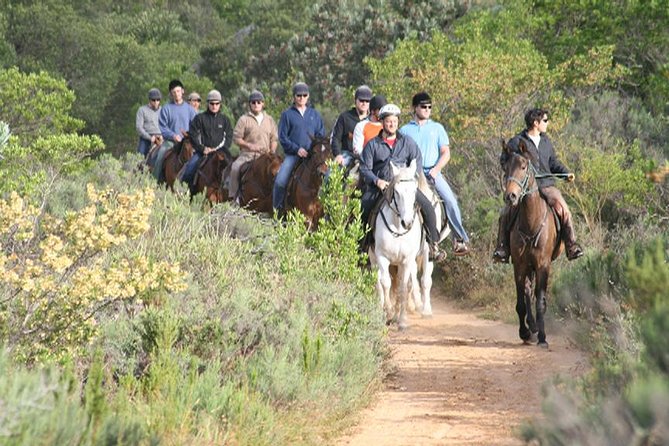 Full Day – Wine Tasting Horse Trail