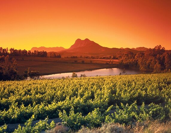 Full Day Wine Tasting in Stellenbosch, Franschoek & Paarl Fees Included - Good To Know