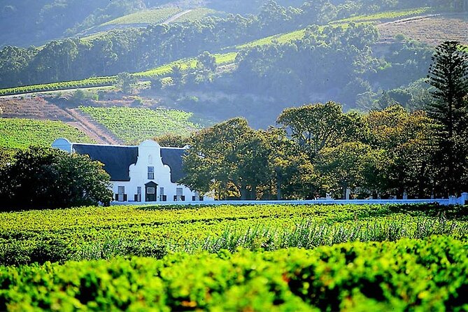 Full Day Wine Tasting Tour in Stellenbosch, Franschhoek and Paarl - Good To Know