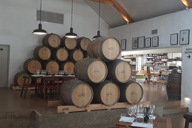 Full Day Wine Tour From Cape Town