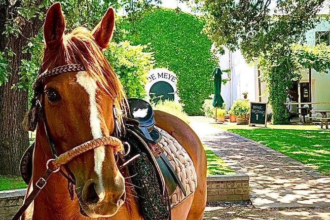 Full Day Wine Tour With Lunch And Tastings
