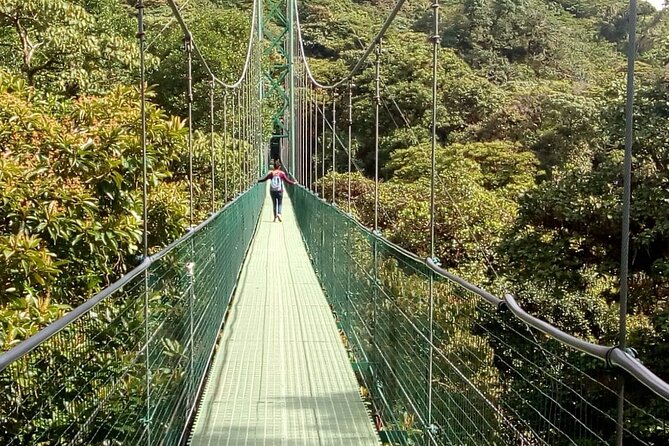 Full Day Zip Line Tour With Butterfly and Hanging Bridges Near of San Jose