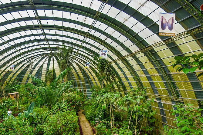 Full Monteverde Cloud Forest Experience With Ziplining. - Good To Know