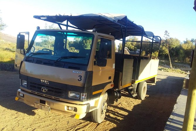 Full or Half Day Aquila Safari - Safari Highlights