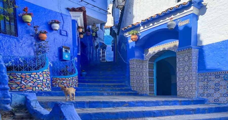 Full Private Day Trip From Fes to Chefchaouen - Good To Know
