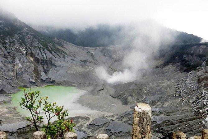 Fullday Bandung Volcano,Tea Plantation,Fruits Market With Lunch & Souvenir