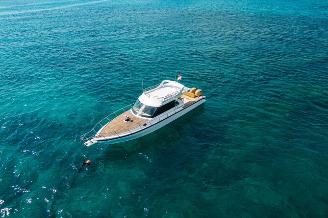Fully Customized Private Tour to Nusa Penida by Boat Land Tour - Good To Know