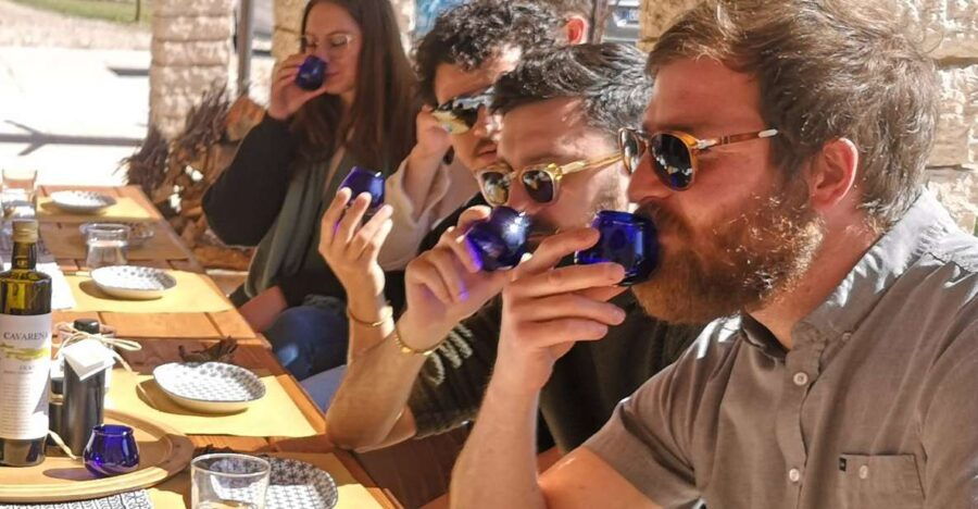 Fumane: Olive Oil Tasting on the Hills of Valpolicella