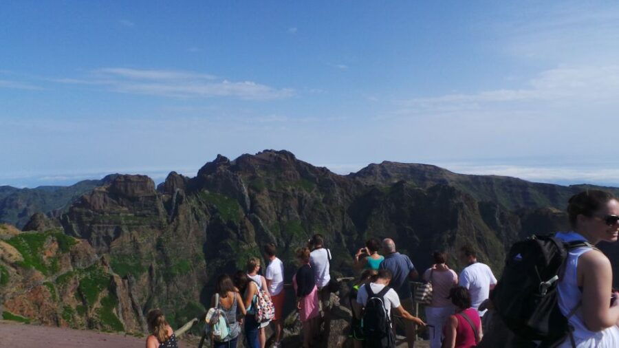 Funchal: Pico Do Areeiro, Cristo Rei and Dolphin Watching - Good To Know