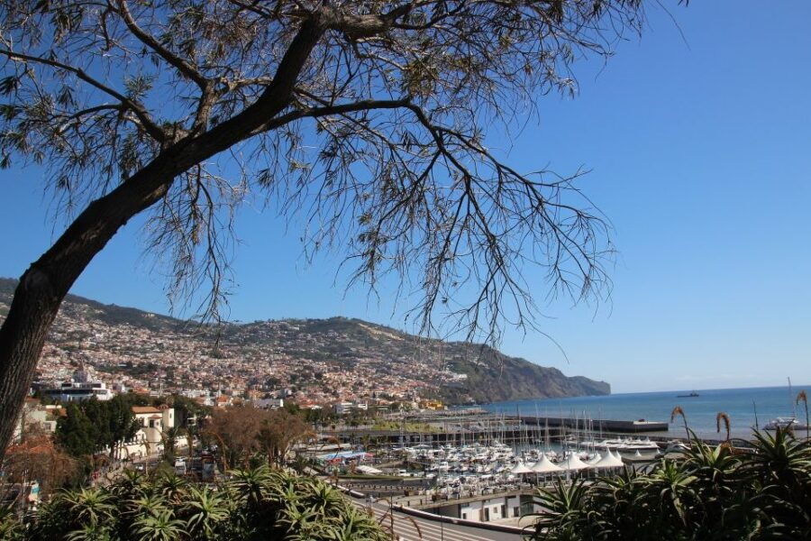 Funchal: Private Tour With a Local Guide - Good To Know