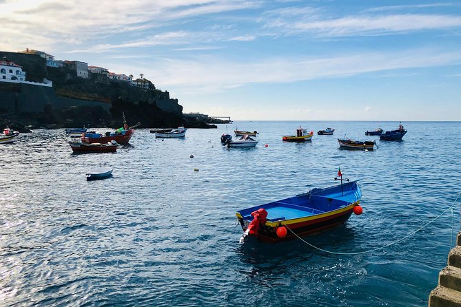 Funchal Private Vehicle Service With Driver for a Half Day or Full Day - Good To Know