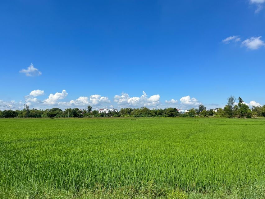 Funny Day Biking, Farming, Buffalo Riding and Basket Boat - Good To Know