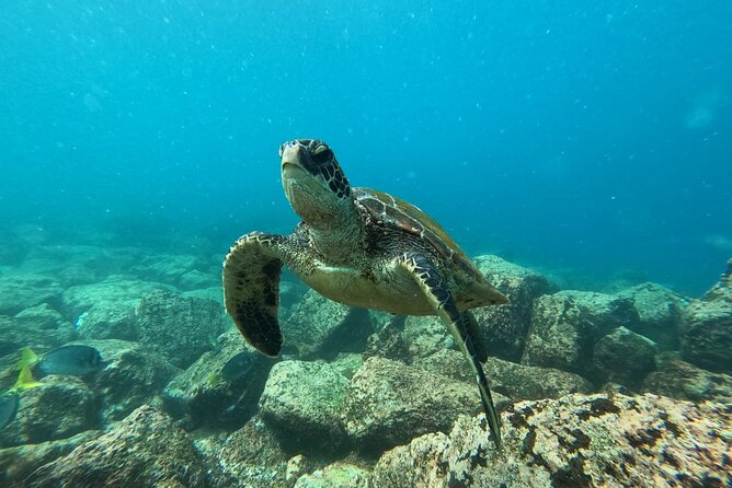 Galapagos: Small-Groups Yacht Tour to Floreana - Santa Cruz