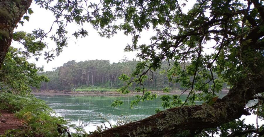 Galicia: Camino Dos Faros Guided Hiking Tour - Good To Know