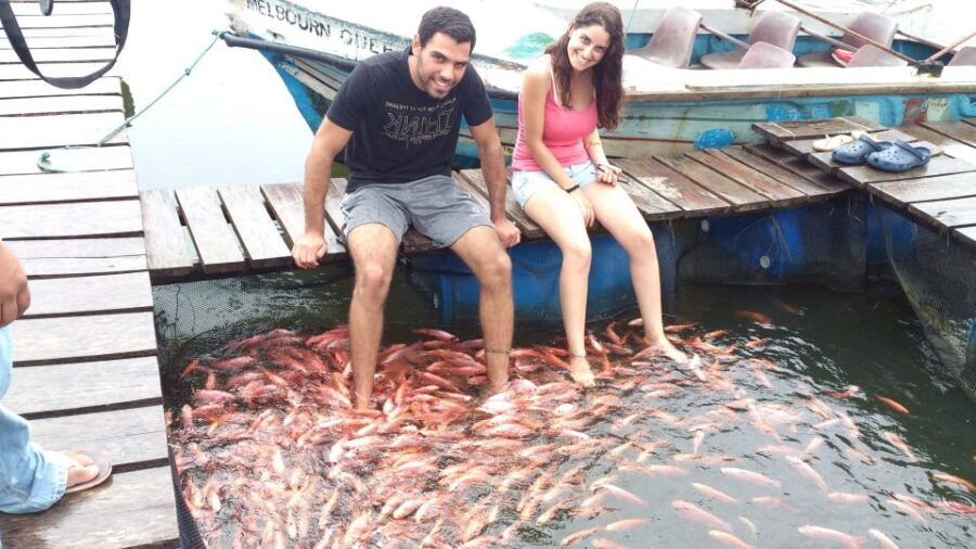 Galle Fort and Bentota Day-Tour From Kalutara - Good To Know