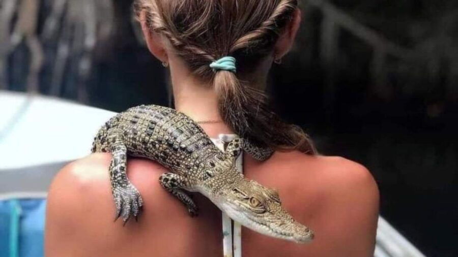 Galle/Hikkaduwa/Bentota: Down South Day Trip - Good To Know