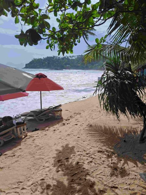 Galle Private One Day Tour Includes Everything You Need.
