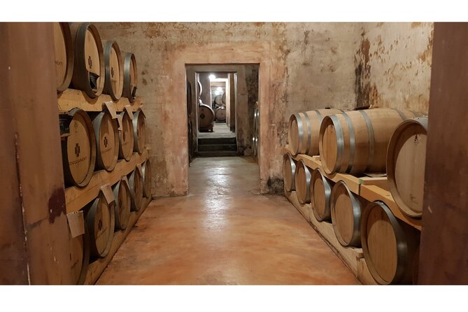 Gallipoli Full Day Private Tour: Coast, Beaches and Wineries - Good To Know