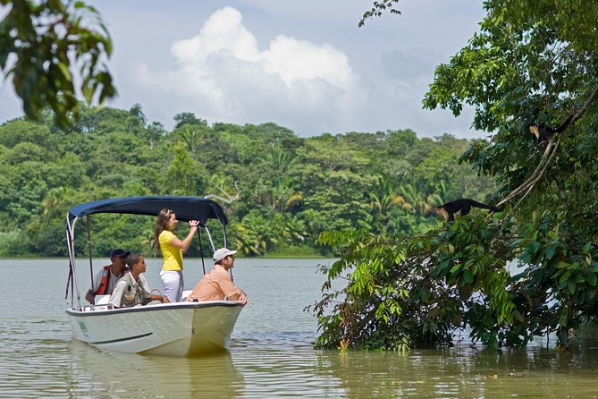 Gamboa Rainforest Combo Pack From Panama City - Good To Know