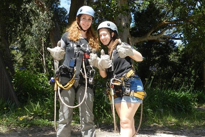Garden Route Adventure Tour With Forest Canopy Zipline - Port Elizabeth