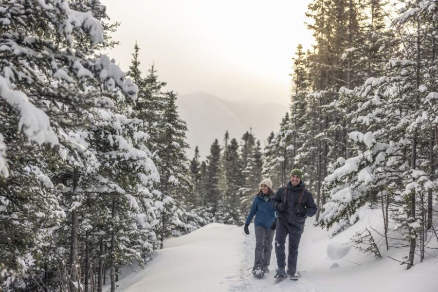 Gaspésie: National Park Entry Ticket With Snowshoe Rental