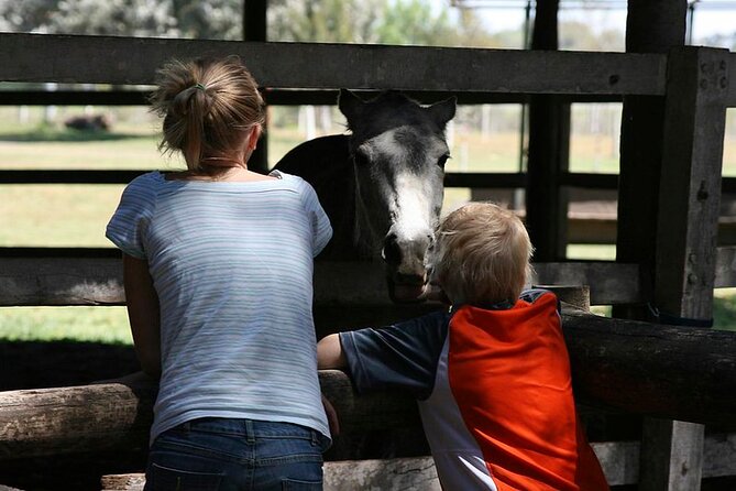 Gaucho Day Tour Don Silvano Estancia From Buenos Aires - Good To Know