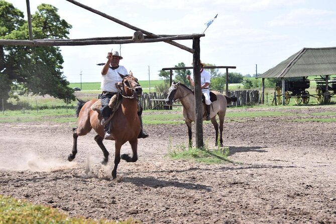 Gaucho Day Tour Santa Susana Estancia From Buenos Aires - Good To Know