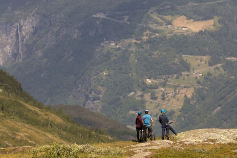 Geiranger Fjord: Downhill Self-Guided Bike Tour
