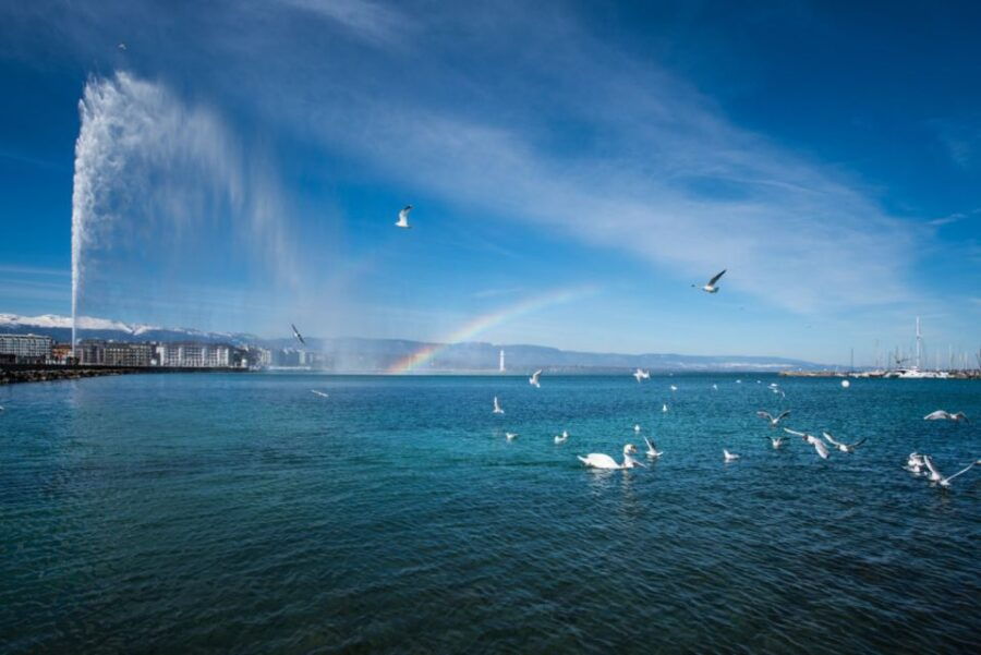 2 Best Cooking Classes In Geneva