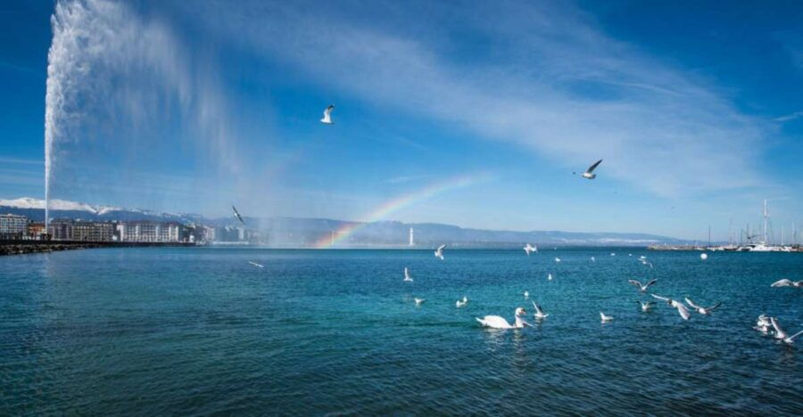 Geneva: Scenic Lake Cruise With Snacks and Wine - Good To Know