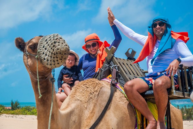 4 Best Full-Day Tours In Natal