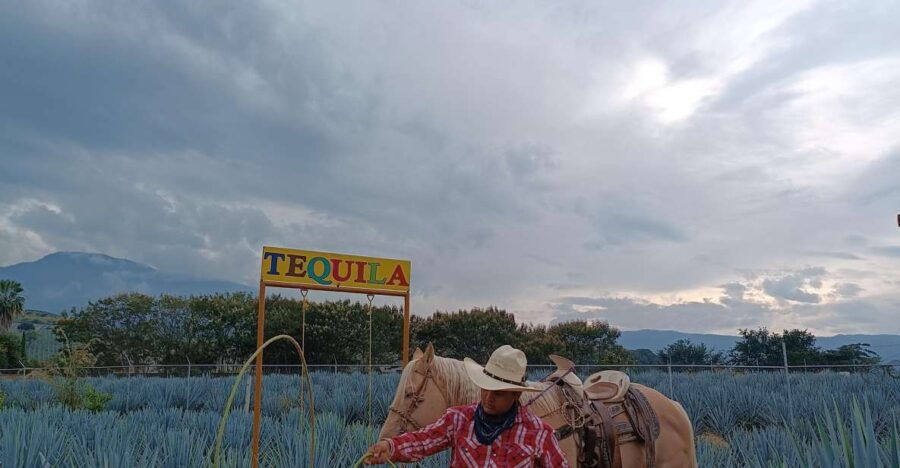Get on Chile: Know Everything About Tequila in "La Rienda" - Good To Know