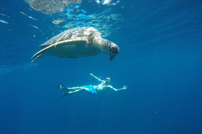 Gili Islands Overnight Tour From Bali With Hotel and Transfers - Seminyak - Good To Know