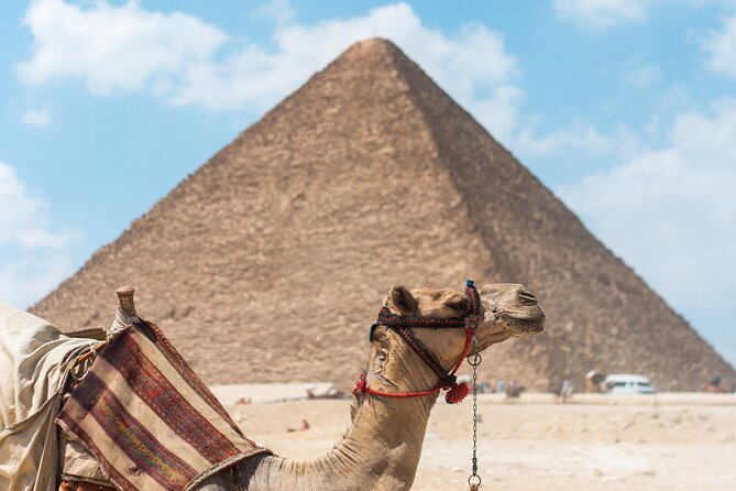 Giza Pyramids, The Egyptian Museum And Cairo Citadel-Mohamed Ali Mosque- Private - Good To Know