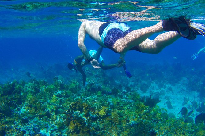 2 Best Boat Tours And Cruises In Lucea