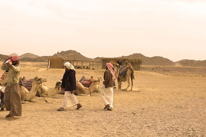 Go Wild and Drive Quad - Good To Know