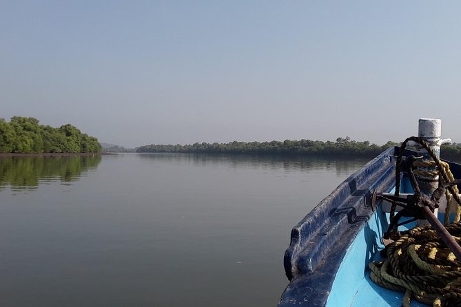 Goa Crocodiles & Spice Plantation Tour