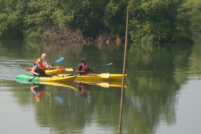 Goa Kayaking Spikes Salonia Backwaters Kayaking Experience - Good To Know