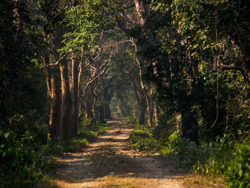 Godawari Hike