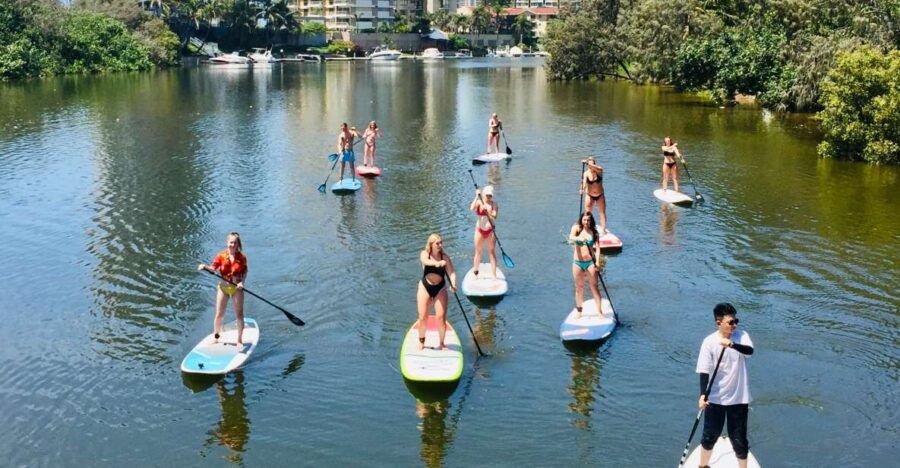 Gold Coast: 2-Hour Standup Paddleboarding Tour & Marine Life - Good To Know