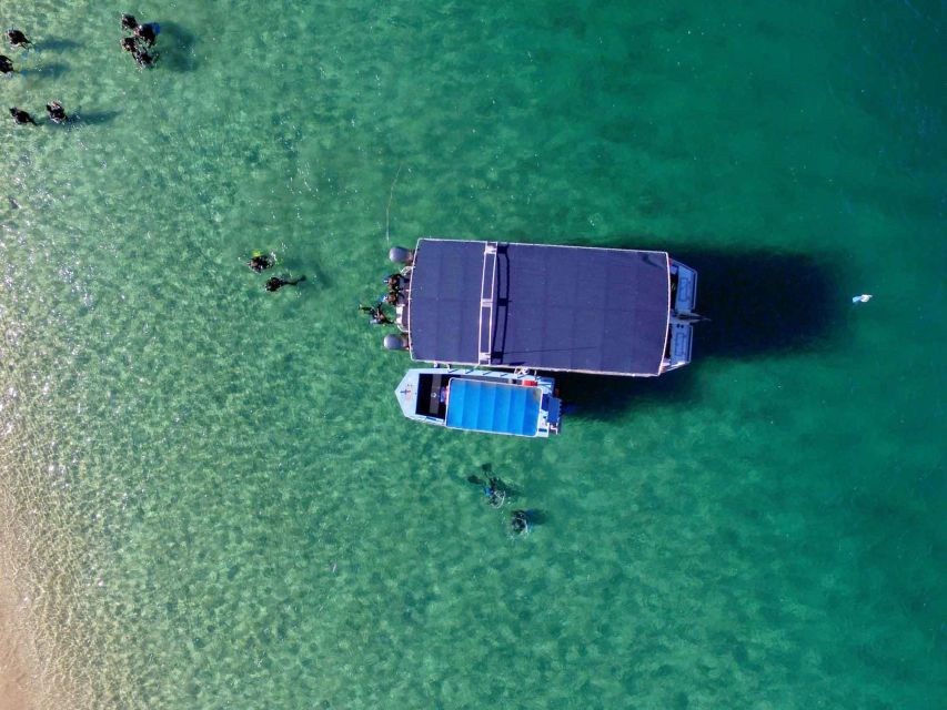 Gold Coast: 3-Day PADI Open Water Course - Good To Know