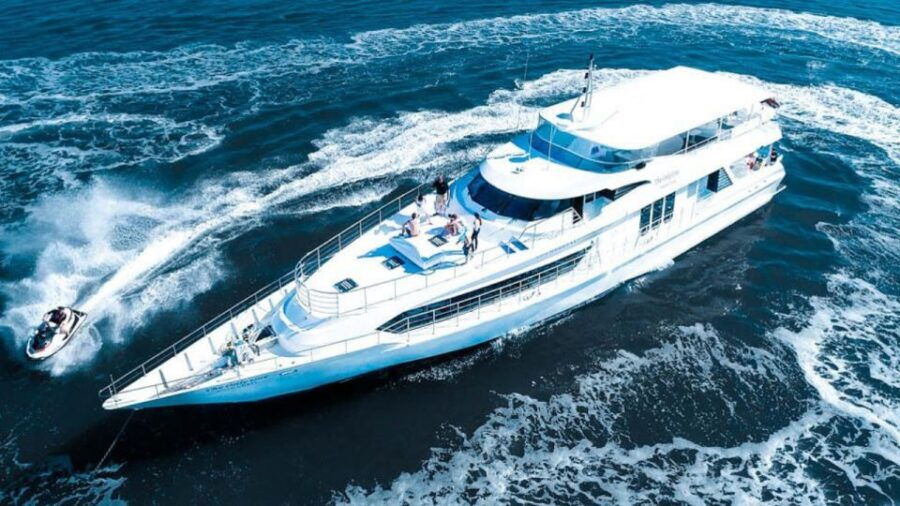 Gold Coast: Whale Watching Guided Tour - Experience Highlights